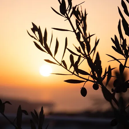 Maridi House Holiday home Pyrgos Kallistis